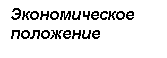 Подпись: Экономическое 
положение 

