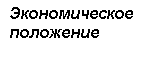 Подпись: Экономическое
положение 

