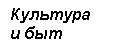 Подпись: Культура 
и быт 


